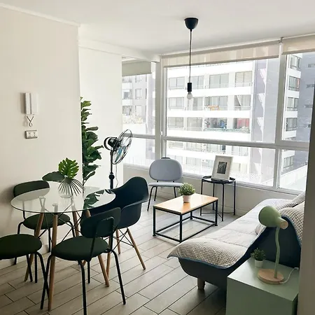 Apartamento Departamento En El Centro De Santiago, Wifi 600 Mbps, Cowork, Barbecue